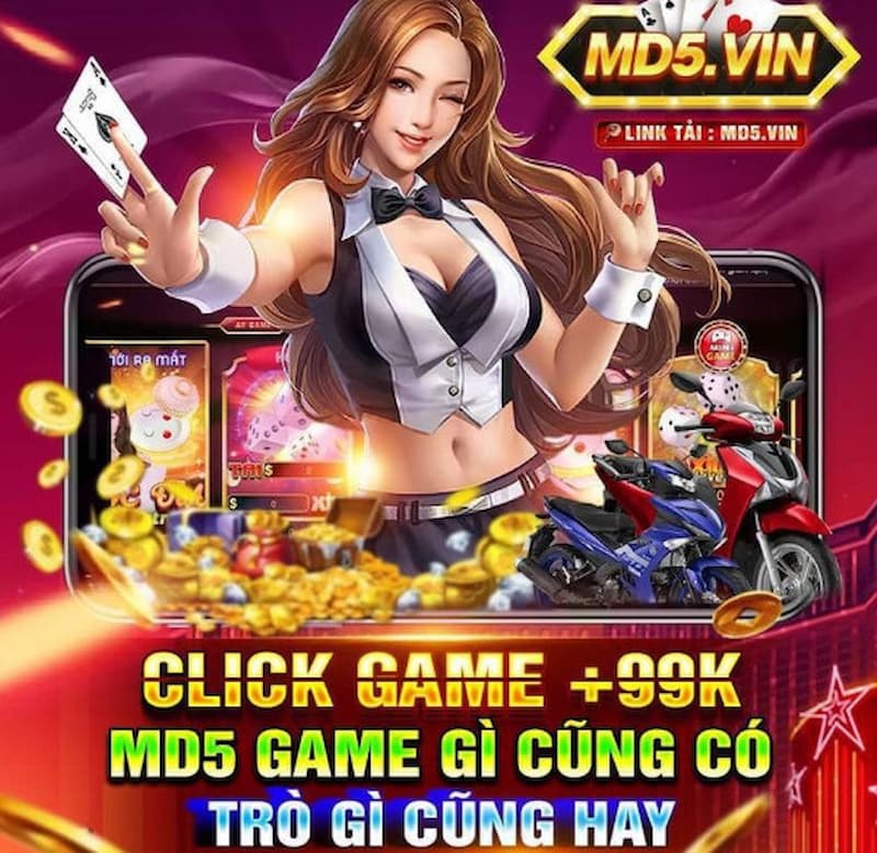 Liệu rằng Tài xỉu MD5 có bị sập ở thị trường Việt Nam? 